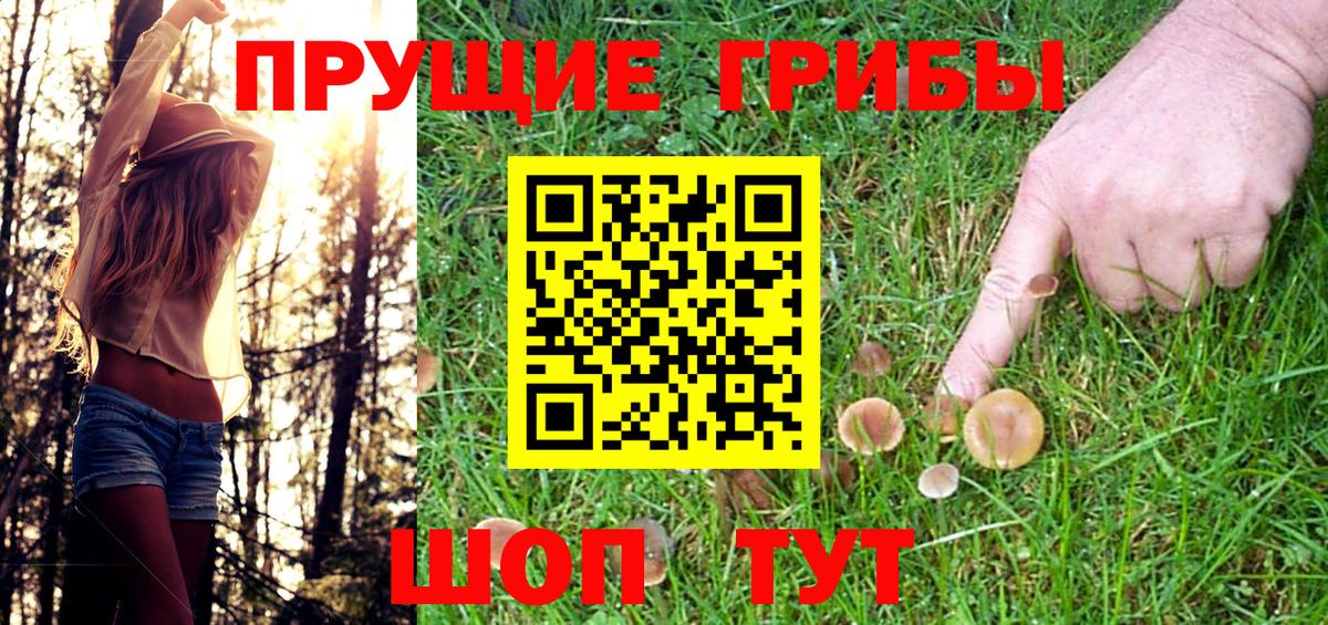 Владивосток  Псилоцибиновые грибы мухоморы  Вход с VPN 