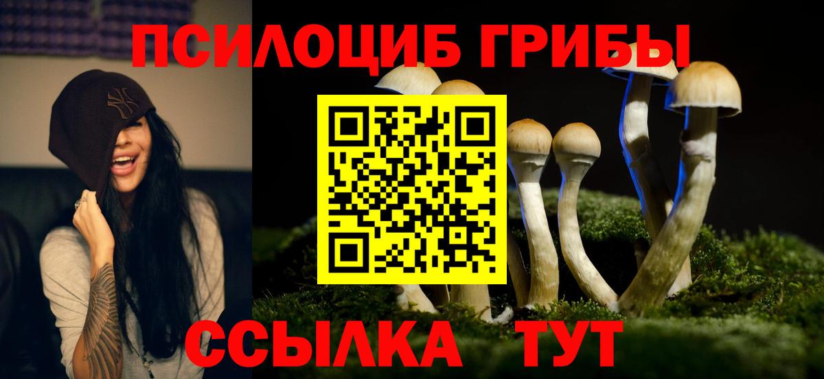 Галлюциногенные грибы GOLDEN TEACHER Владивосток